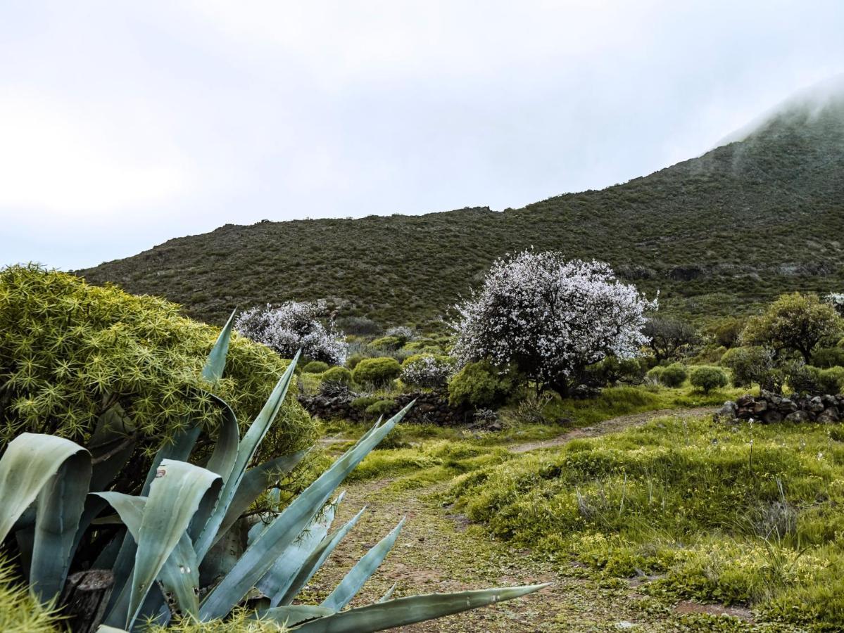 Luxury Villa In Nature With Swimming Pool Tenerife, Santiago Del Teide, With Sea And Mountain Views El Retamar Eksteriør billede