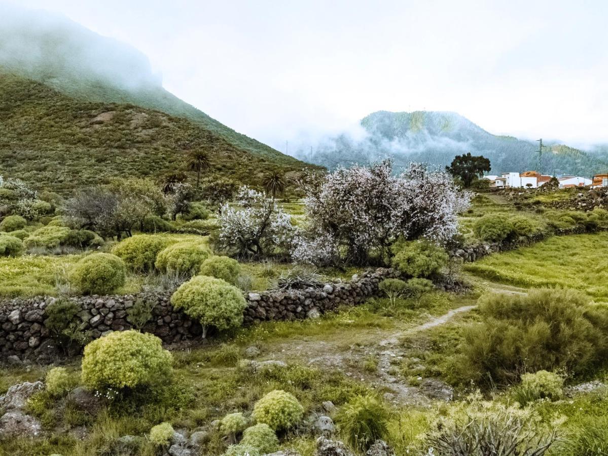 Luxury Villa In Nature With Swimming Pool Tenerife, Santiago Del Teide, With Sea And Mountain Views El Retamar Eksteriør billede